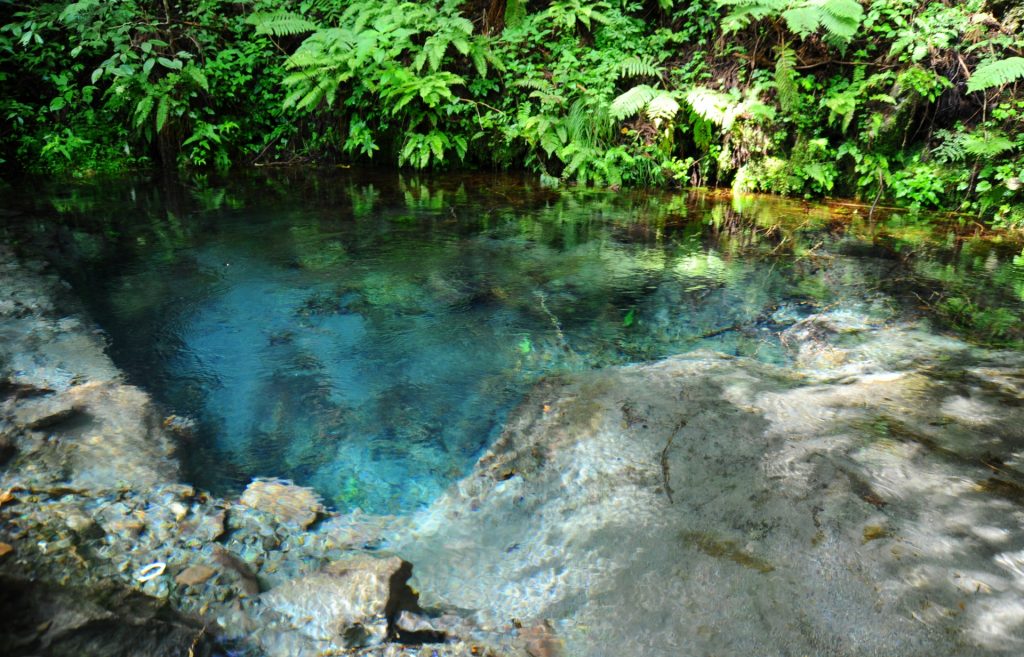 湧き水